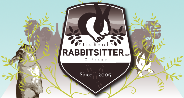 rabbitsitter.com